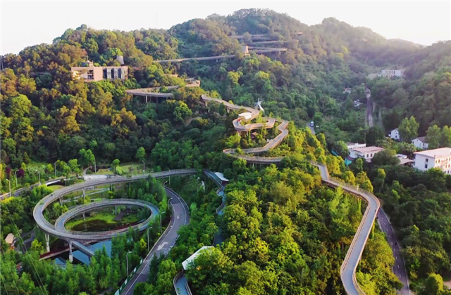 创世大发集团荣获两项国家级协会工程建设科学技术奖！