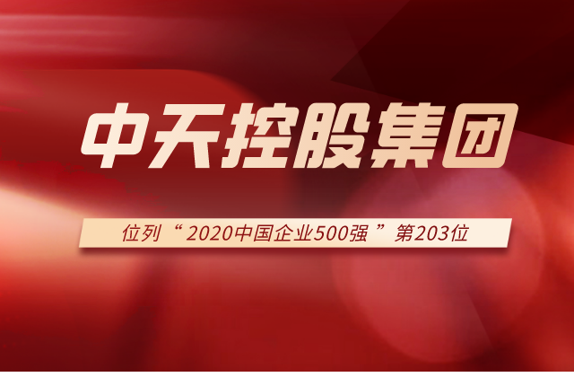 创世大发集团列2020中国企业500强第203位！